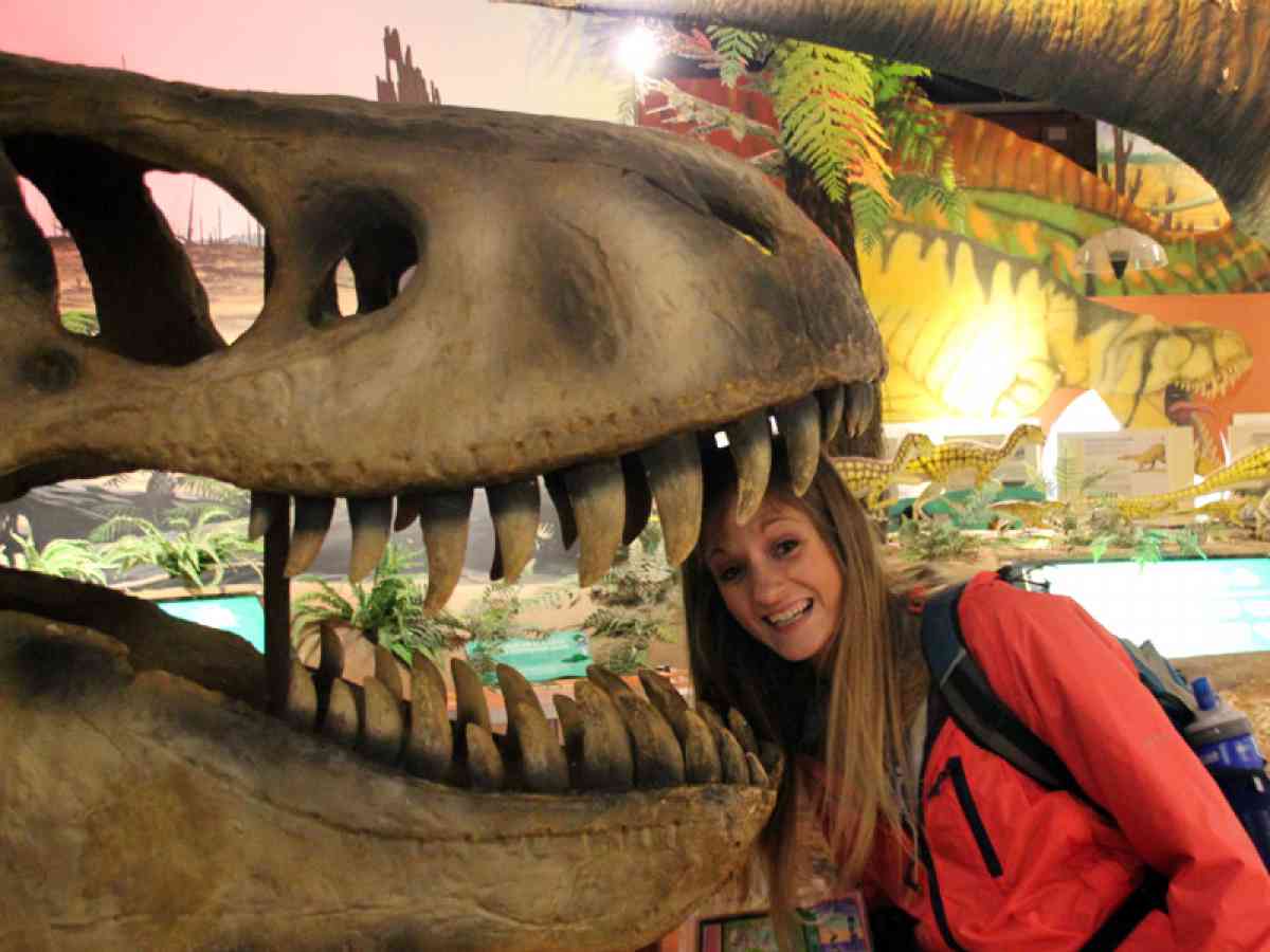 Dinosaur Isle picture gallery